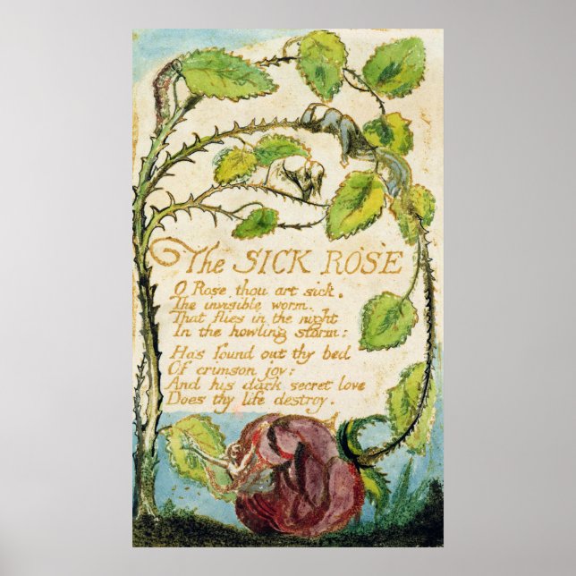 The Sick Rose, from Songs of Innocence Poster (Front)