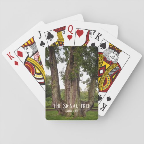 The Signal Tree Bicycle Playing Cards