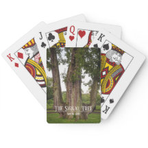 The Signal Tree Playing Cards