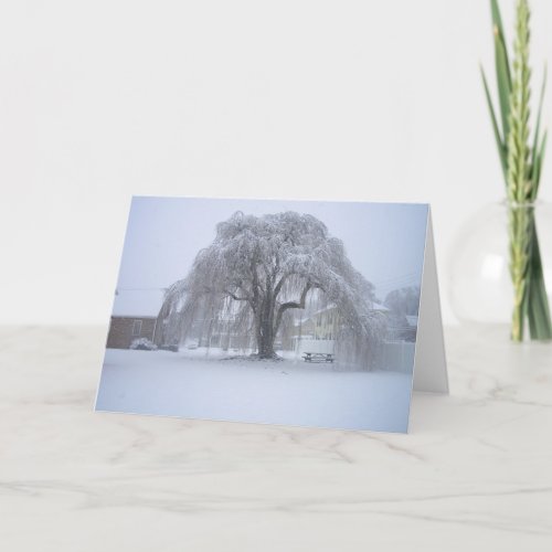 The Silence of Snow Holiday Card