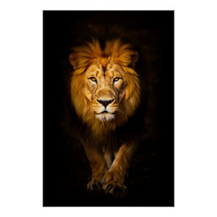 The Silent King Poster