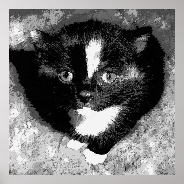 The Silent Observer Poster (Front)