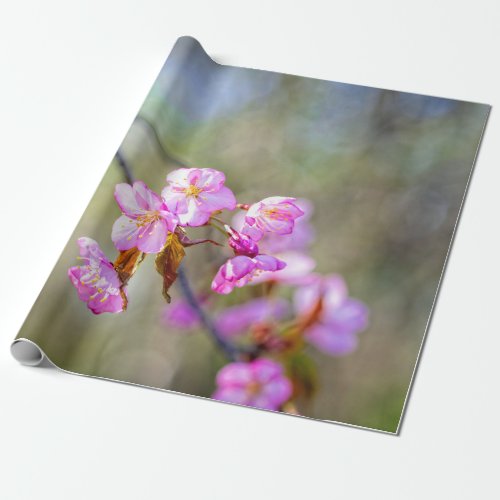 The Simple Beauty Of Sakura Flowers Wrapping Paper