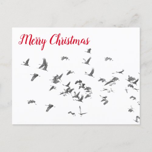 The simplicity of Sandhills Holiday Postcard