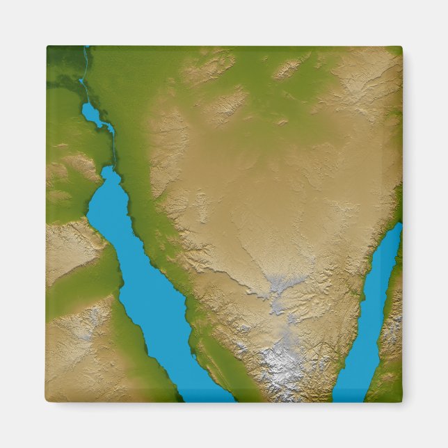 The Sinai Peninsula Magnet (Front)