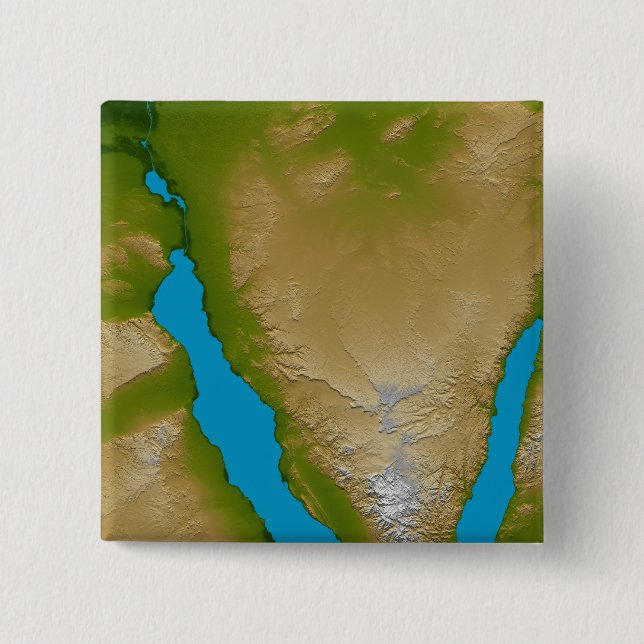 The Sinai Peninsula Pinback Button (Front)