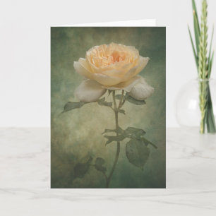The single rose card