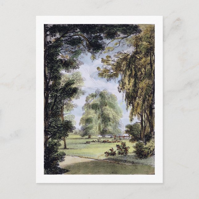 The Sister Trees, Kew Gardens, plate 8 from 'Kew G Postcard (Front)