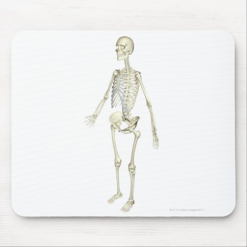 The Skeletal System Mouse Pad