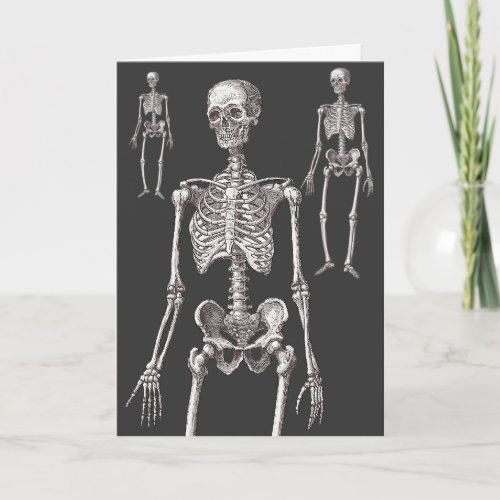 The Skeletons Are Out of the Closet Greeting Card