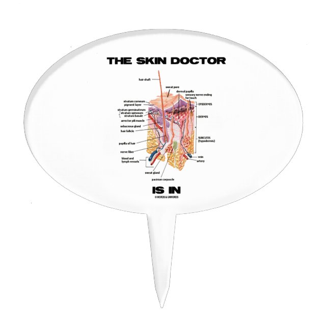 The Skin Doctor Is In (Anatomy Dermatology) Cake Topper (Front)