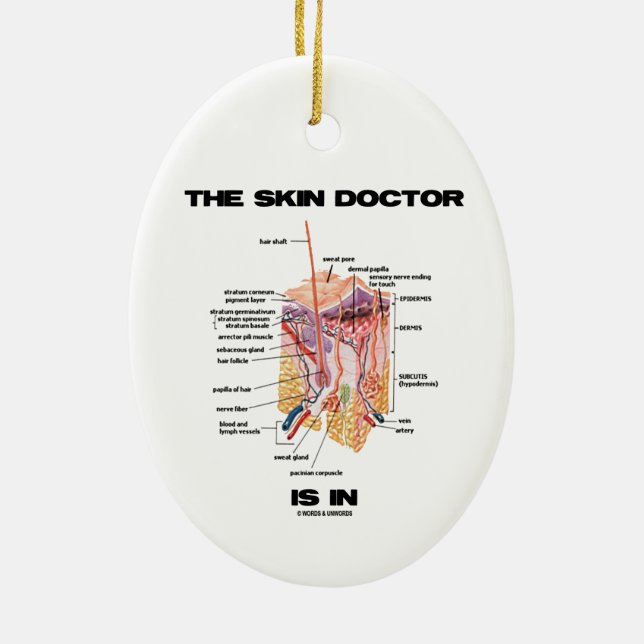 The Skin Doctor Is In (Anatomy Dermatology) Ceramic Ornament (Back)