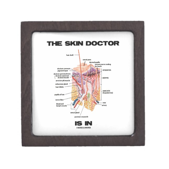 The Skin Doctor Is In (Anatomy Dermatology) Jewelry Box (Front)