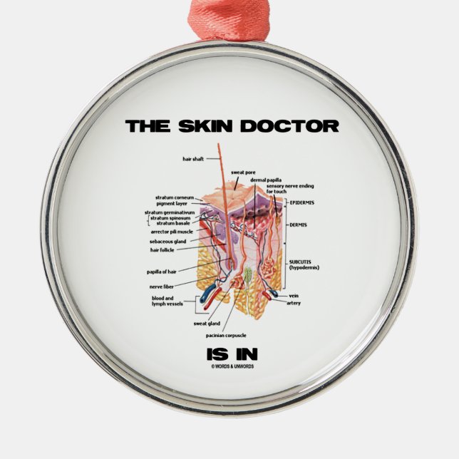 The Skin Doctor Is In (Anatomy Dermatology) Metal Ornament (Front)
