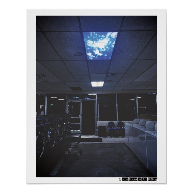 the sky is falling poster (Front)