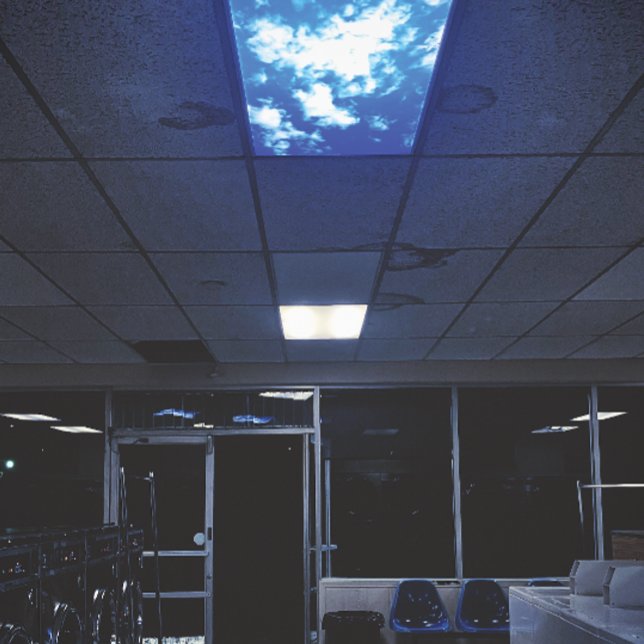 the sky is falling poster (Creator Uploaded)