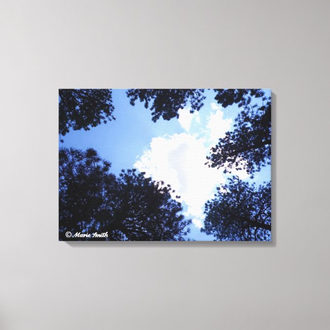 The Sky's the Limit Canvas Print (Front)