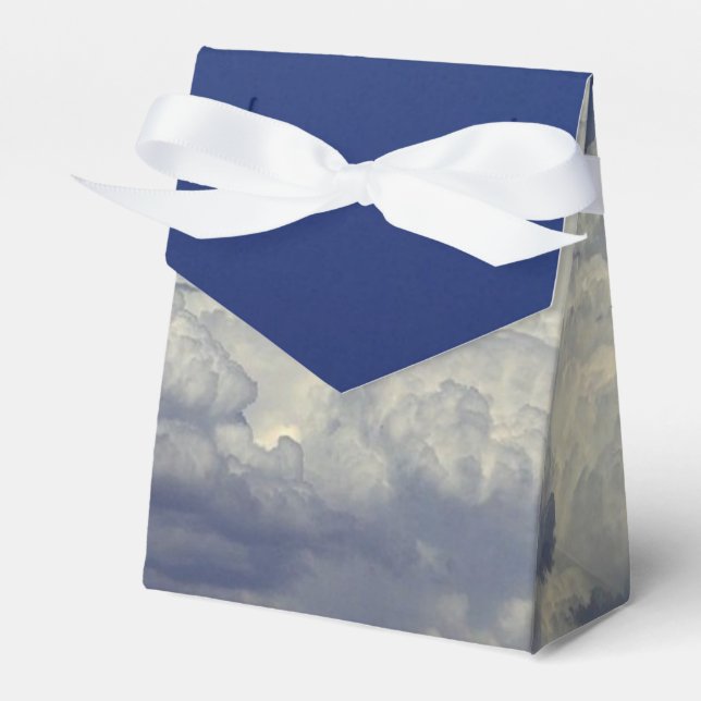 The Skys The Limit Favor Boxes (Front Side)