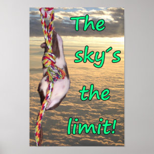 The Sky's the Limit! (Inspirational Rat Poster) Poster