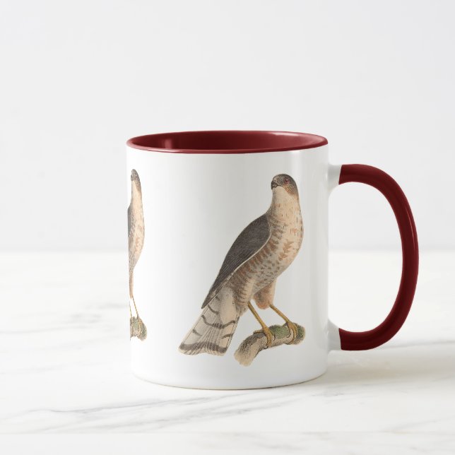 The Slate-colored Hawk	(Astur fuscus) Mug (Right)
