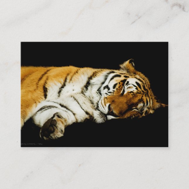 The Sleeping Amur Mini Print Business Card (Front)