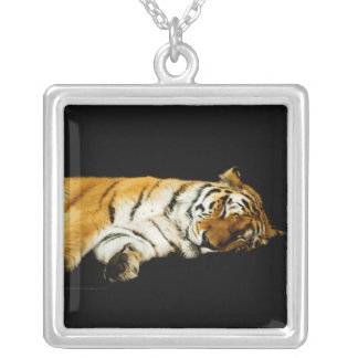 The Sleeping Amur Necklace