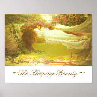 The Sleeping Beauty~ Poster