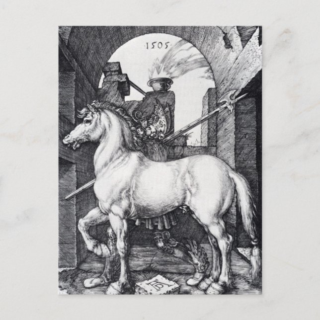 The Small Horse by Albrecht Durer Postcard (Front)