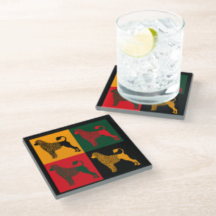 The smart Portuguese water dog Glass Coaster