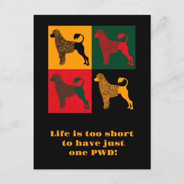 The smart Portuguese water dog  Postcard (Front)