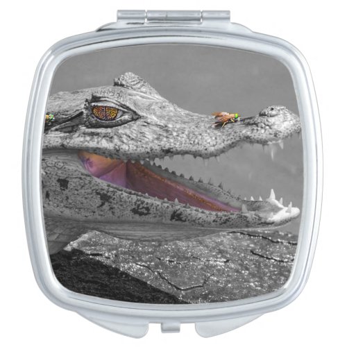 The smiling crocodile and the flies compact mirror