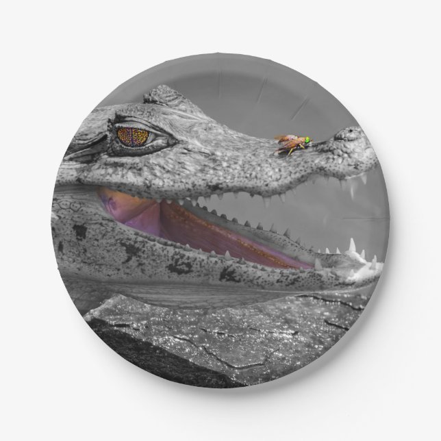 The smiling crocodile and the flies paper plates (Front)