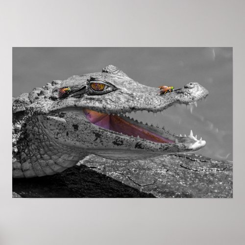 The smiling crocodile and the flies poster