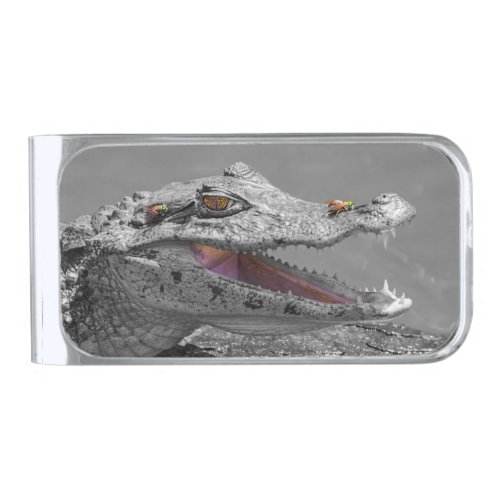 The smiling crocodile and the flies silver finish money clip