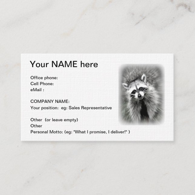 The smiling raccoon business card (Front)
