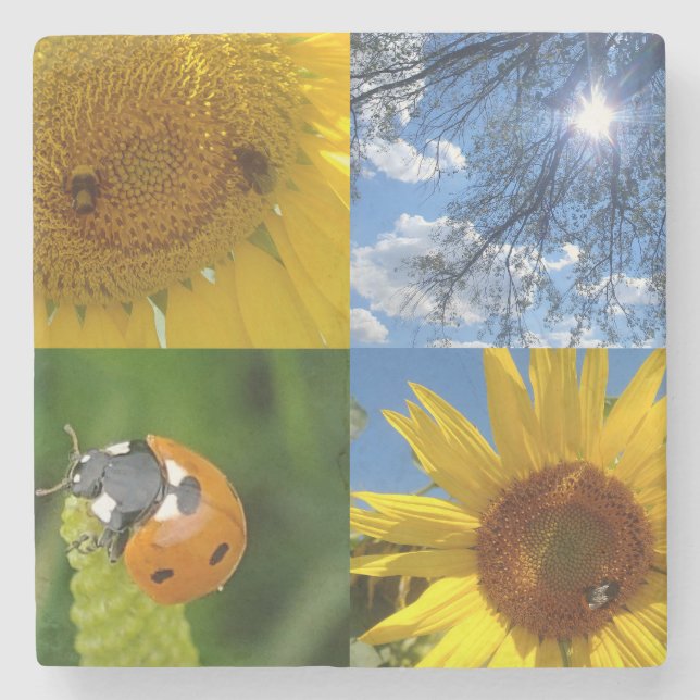 The Smiling Sunflower Stone Coaster (Front)