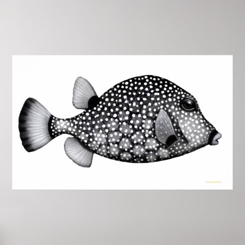 The Smooth Trunkfish Reef Fish Poster