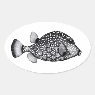 The Smooth Trunkfish Sticker