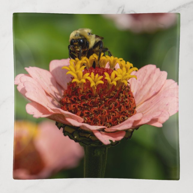 The Snack Trinket Tray (Front)