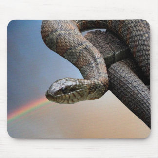 The snake and the rainbow mouse pad