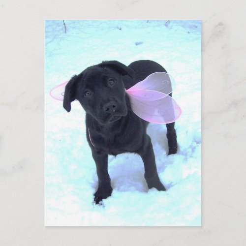 The Snow Fairy Labrador Postcard