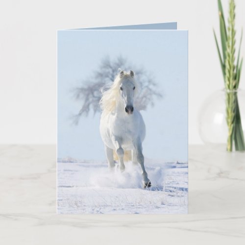 The Snow Stallion and the Tree Horse Greeting Card