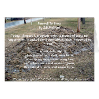 the snowbird's poem cards