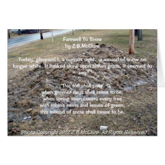 the snowbird's poem cards (Front Horizontal)