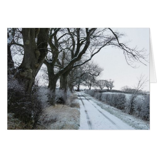 The Snowy Lane Northumberland England