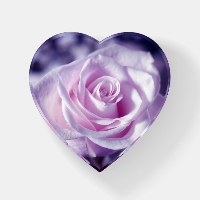 The Softest Pink Rose Heart-Shaped Paperweight (Front)