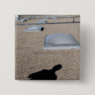 The solar day lighting system pinback button