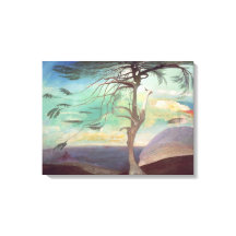 The Solitary Cedar, 1907