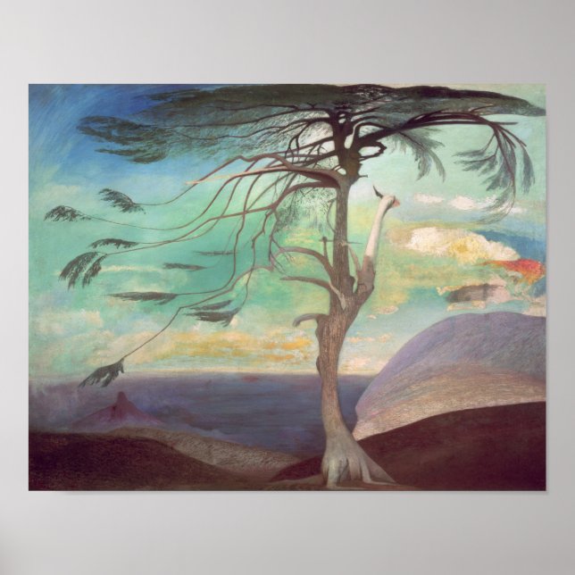 The Solitary Cedar, 1907 Poster (Front)