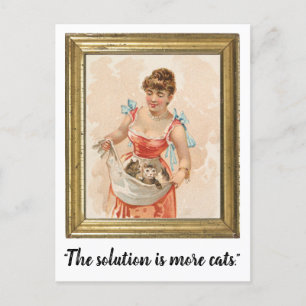 "The Solution Is More Cats" Funny Postcard